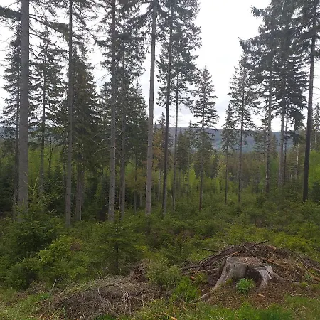 Przy Szlaku Szklarska Poreba