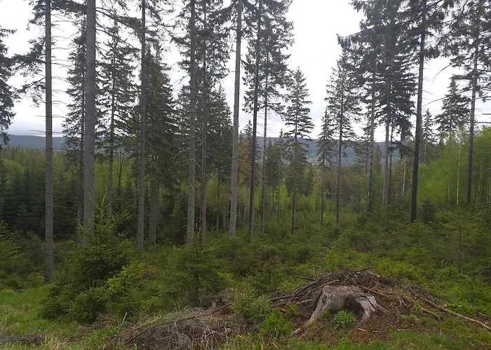 Przy Szlaku Szklarska Poreba